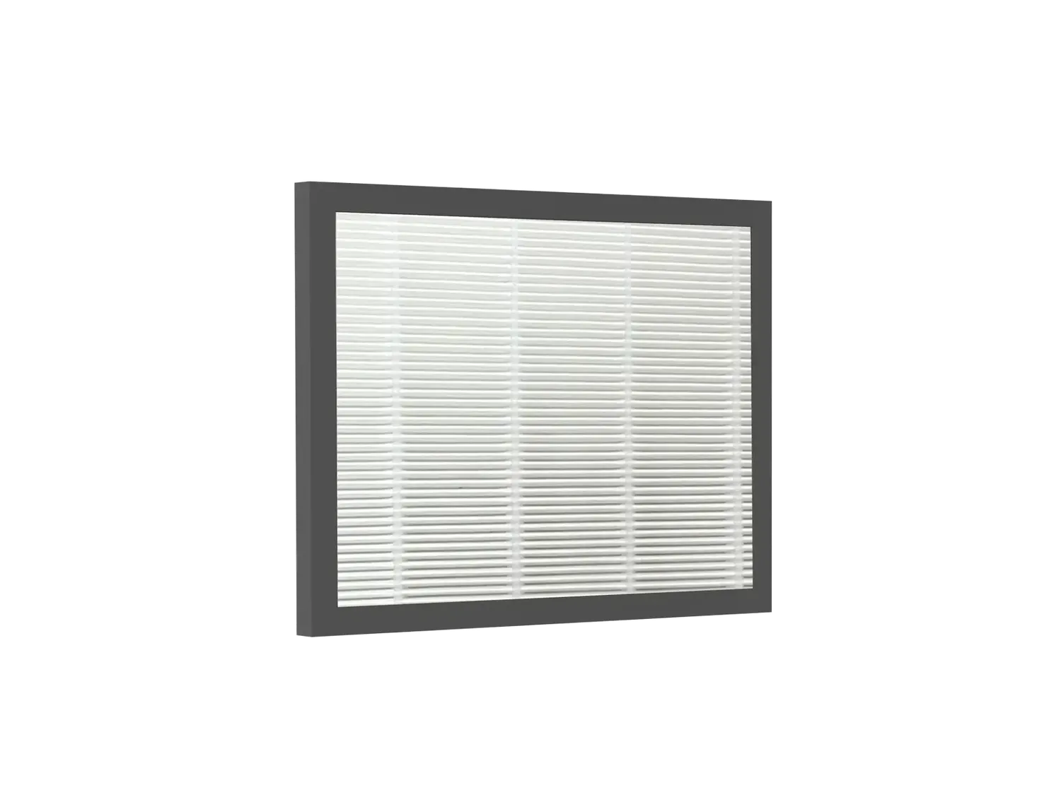 Bestherm filtre HEPA Nova 5L anti-pollen