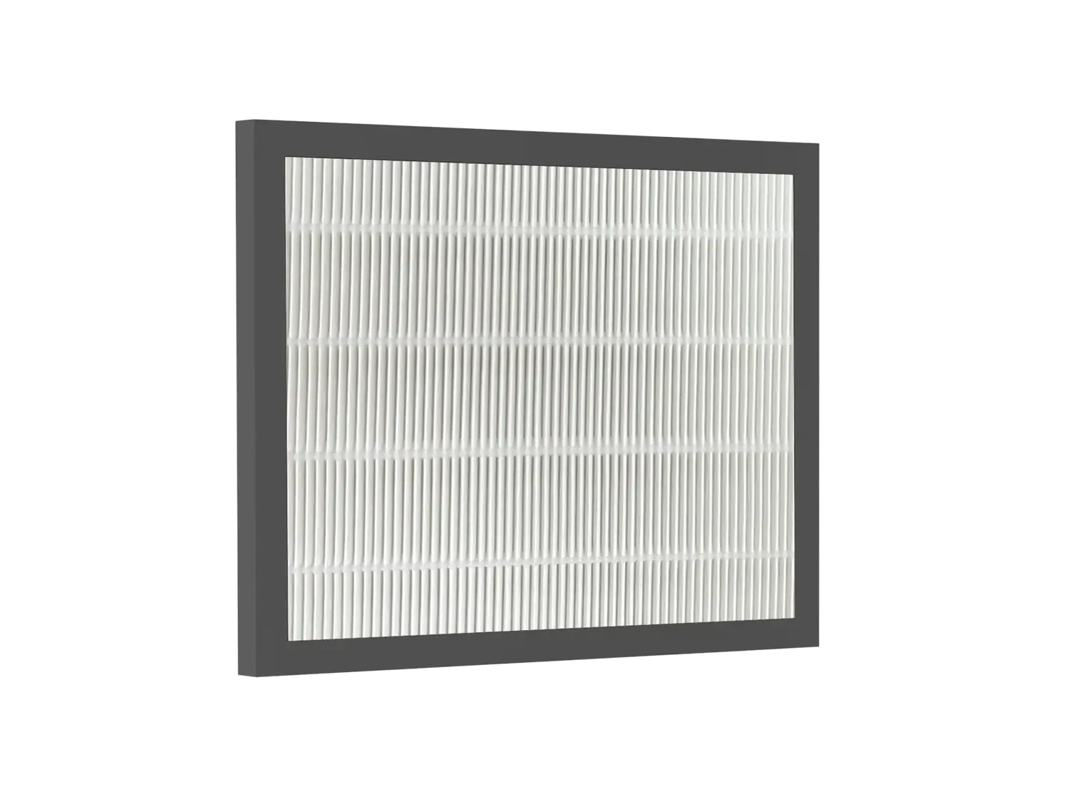 Bestherm filtre HEPA Nova 5L anti-pollen