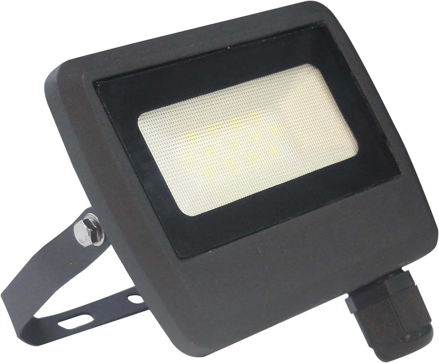 Voltman DIO065032 projecteur LED 10W avec détecteur