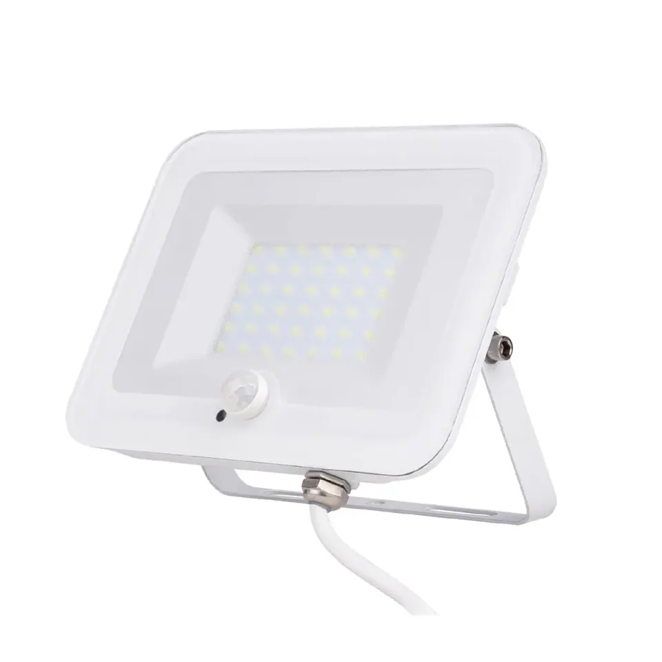 Voltman projecteur LED détecteur blanc 20W 2000lm