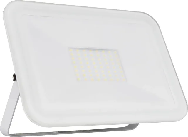 Voltman Pula VOM069369 projecteur LED 50W blanc