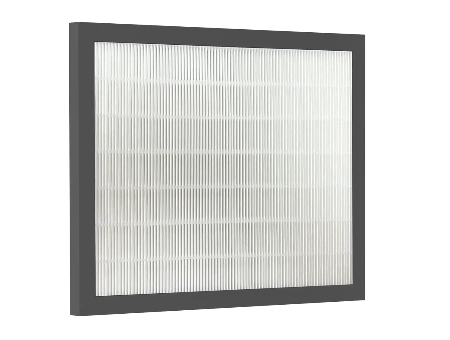 Bestherm filtre HEPA Nova 5L anti-pollen