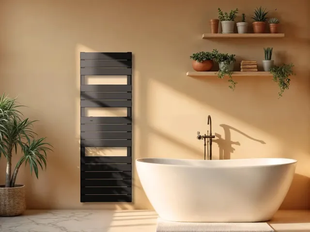 Bestherm Anis sèche-serviettes inertie télécommande 500W