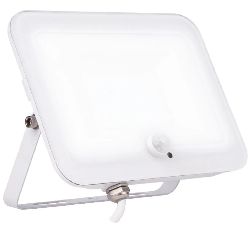 Voltman projecteur LED détecteur blanc 20W 2000lm