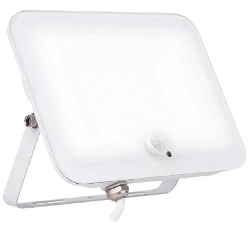 Voltman projecteur LED détecteur blanc 20W 2000lm