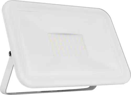 Voltman Pula VOM069369 projecteur LED 50W blanc